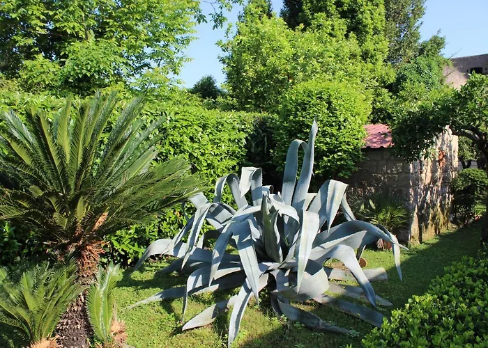 Il Giardino Degli Agrumi