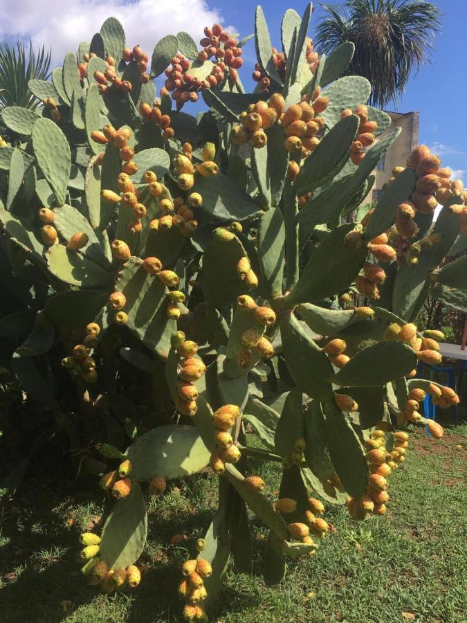 Il Giardino Degli Agrumi Holiday home *