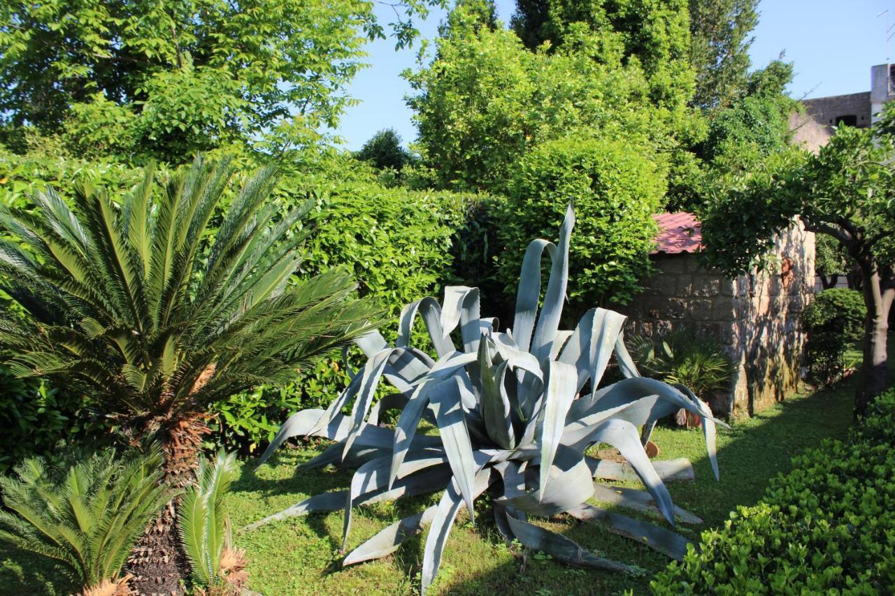 Il Giardino Degli Agrumi * Caserta