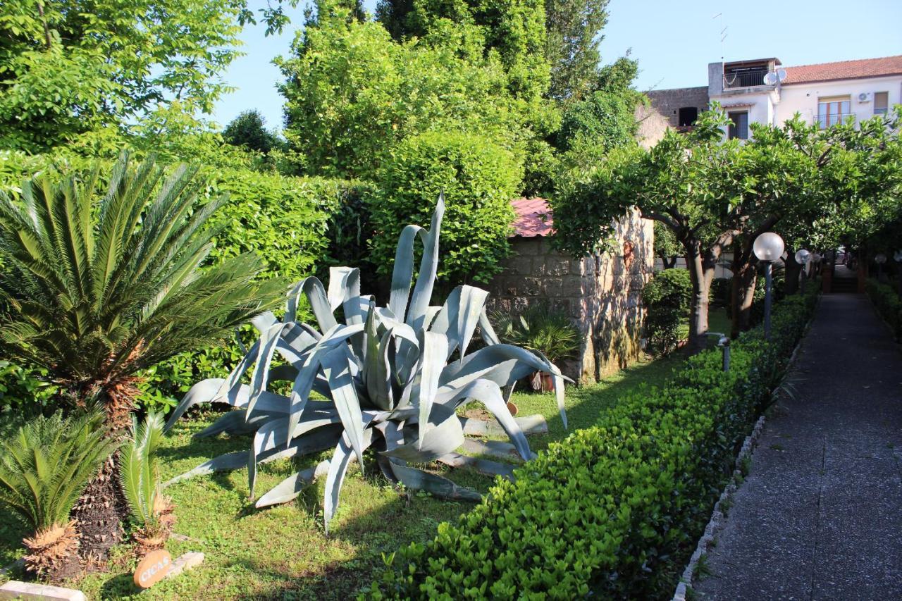 Il Giardino Degli Agrumi Holiday home *