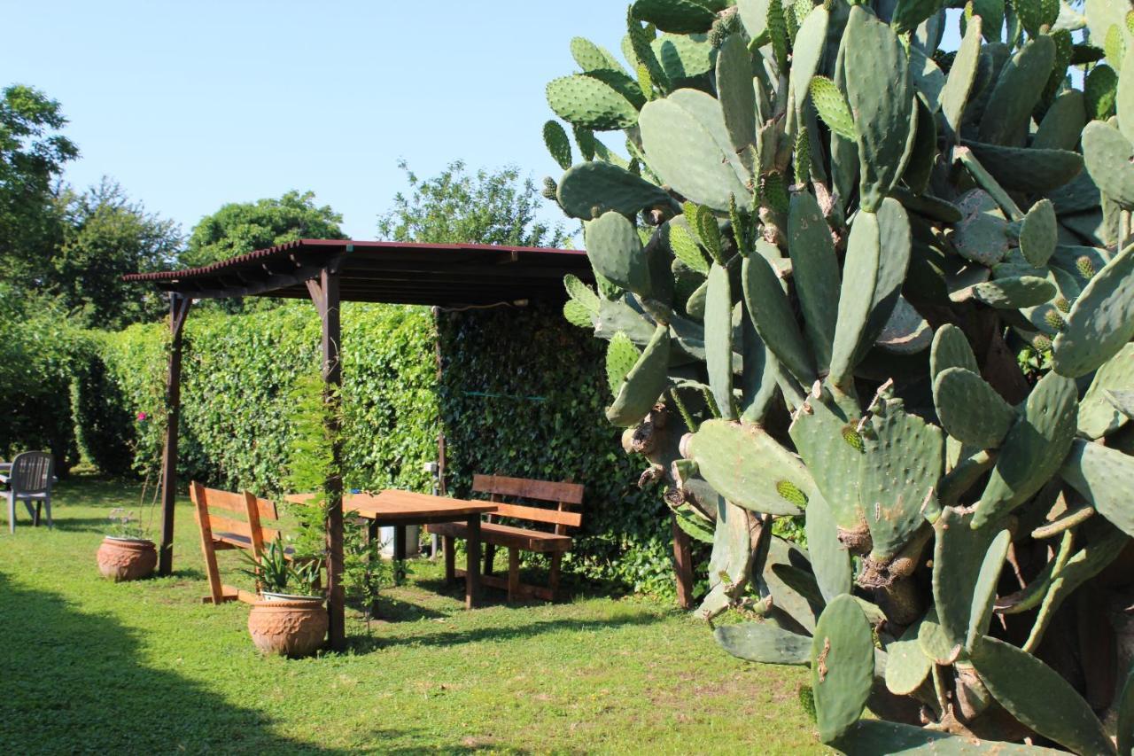 Il Giardino Degli Agrumi Holiday home Caserta