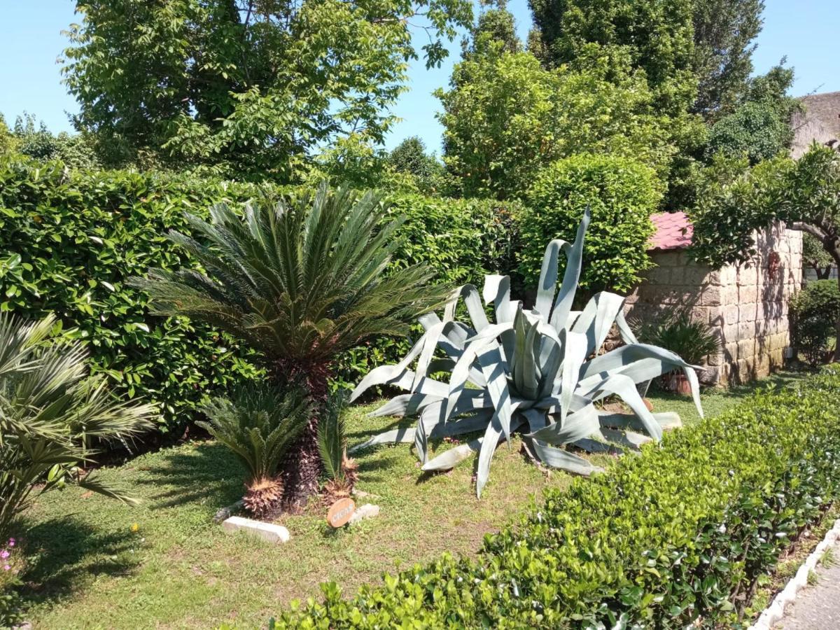 Holiday home Il Giardino Degli Agrumi *