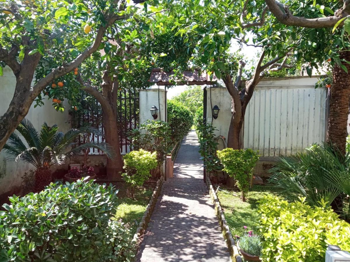 Il Giardino Degli Agrumi Holiday home *