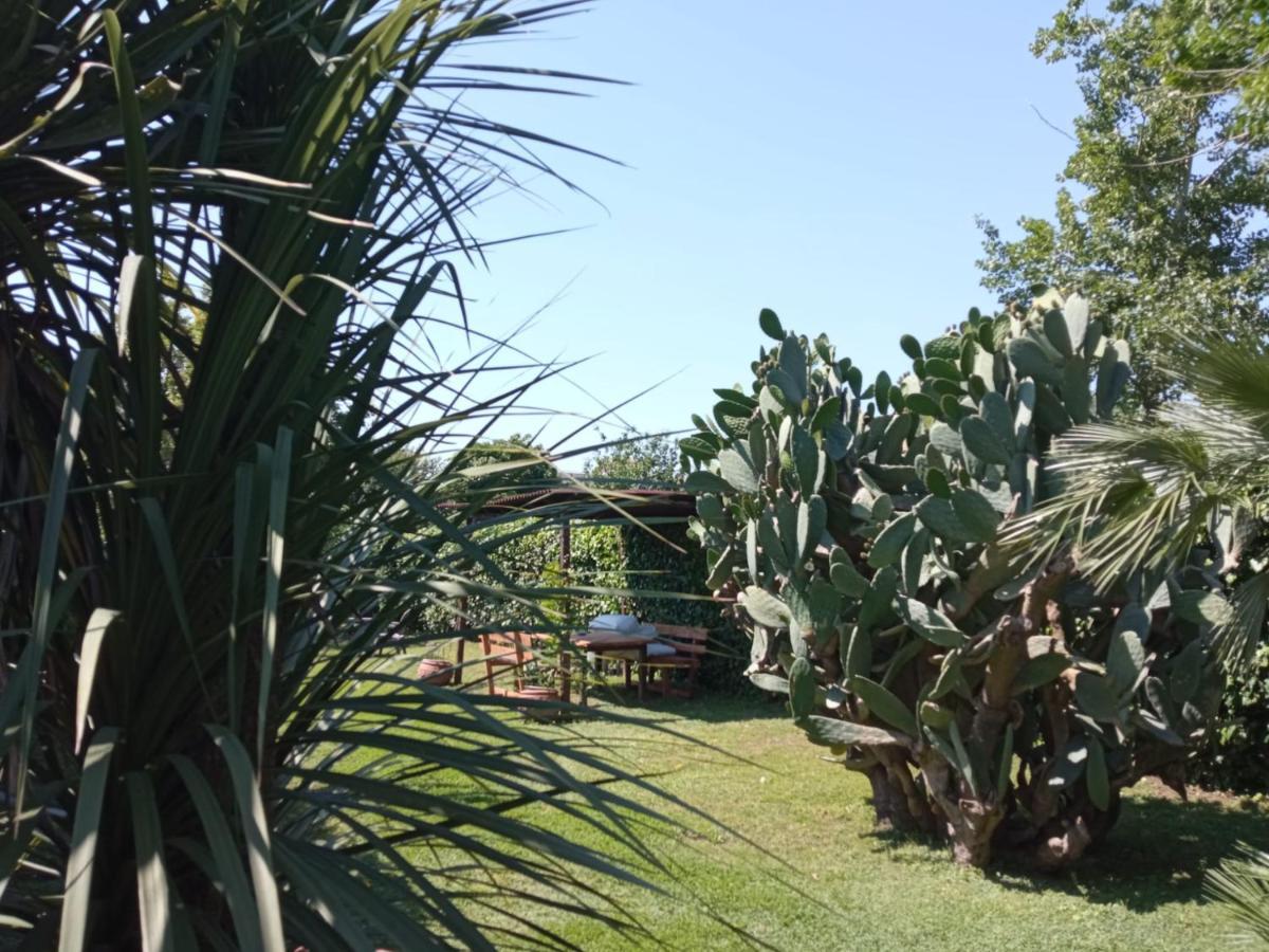 Holiday home Il Giardino Degli Agrumi Caserta