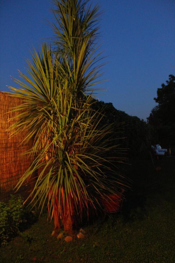 Il Giardino Degli Agrumi Holiday home Caserta