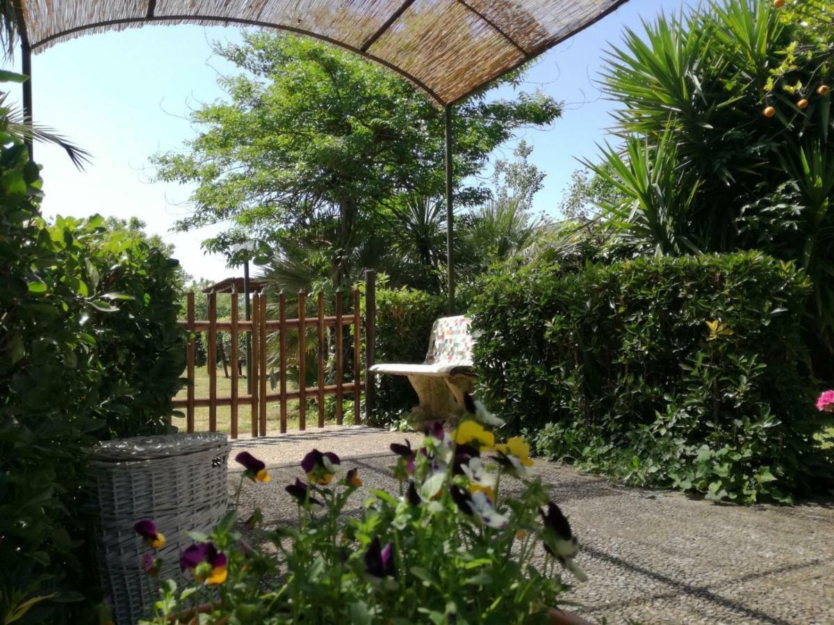 Il Giardino Degli Agrumi Holiday home Caserta