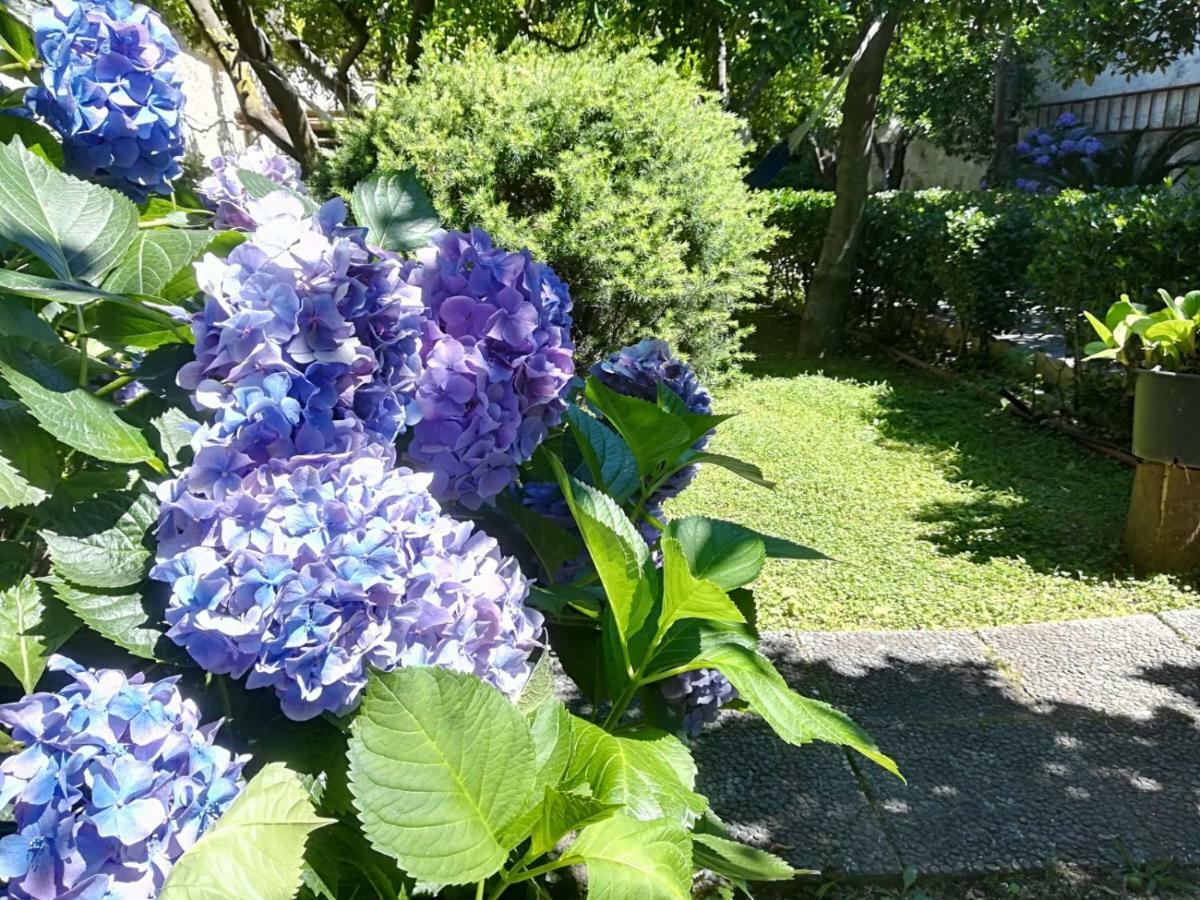 Il Giardino Degli Agrumi Caserta