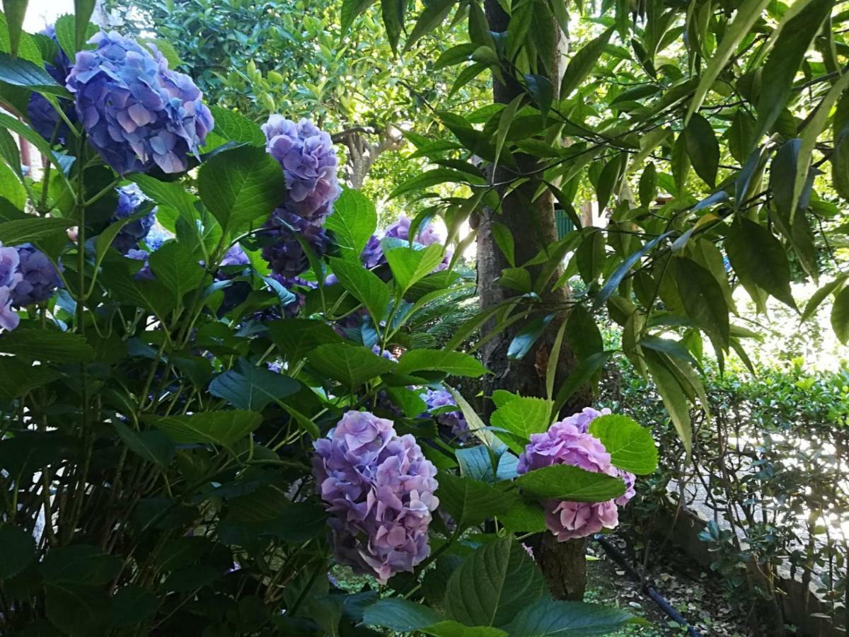Il Giardino Degli Agrumi Holiday home *